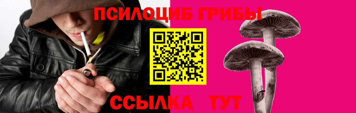 Галлюциногенные грибы прущие грибы Кимры