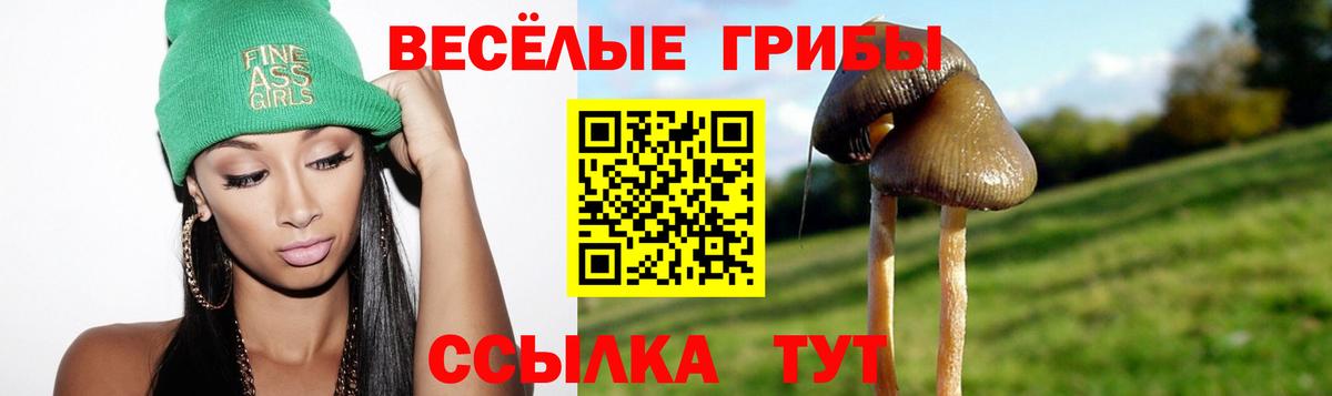 Кимры  Псилоцибиновые грибы MAGIC MUSHROOMS  Галлюциногенные грибы Psilocybine cubensis  Вход с VPN 